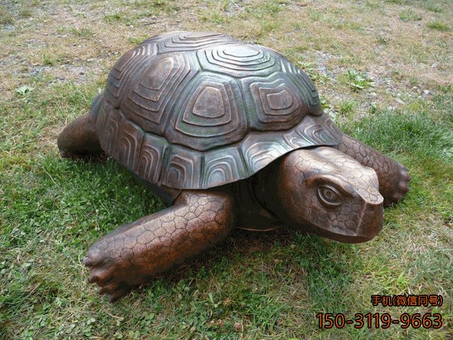 铜雕乌龟