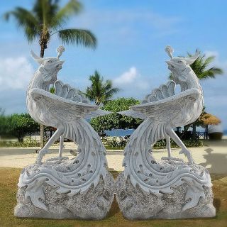 关于五色凤凰的简单介绍