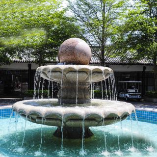 博鱼网页版在园林中发挥着哪些作用?