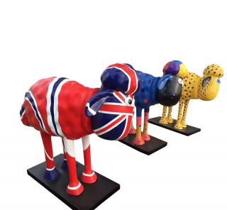 重庆现昭君牧羊博鱼网页版引争议