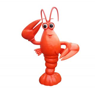 动物不锈钢博鱼网页版的摆放