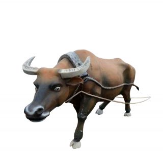 博鱼网页版种类众多，你钟爱哪一款？