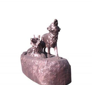 动物博鱼网页版家James Maberly概述