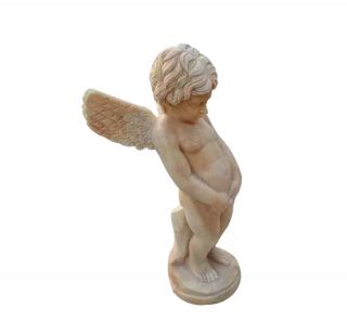 常见的金属博鱼网页版有哪些种类?