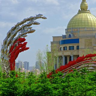 城市博鱼网页版的类型及特征是什么？