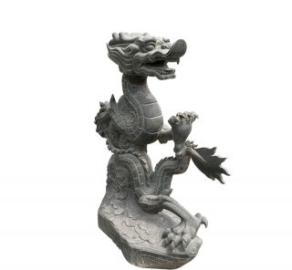 龙是华夏民族的象征也就是中国的象征，龙文化是中国特有的文化