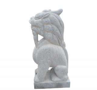 博鱼网页版的形态语言是什么