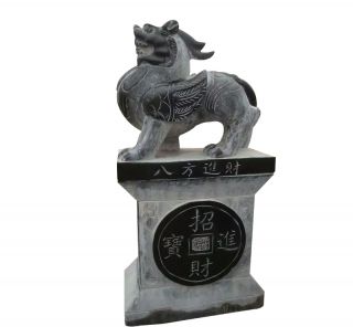 博鱼网页版种样繁多的分类