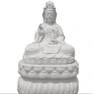 灭绝的卡罗来纳鹦鹉惊现花园中