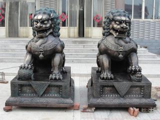 三界五行:摆放狮子要分雌雄