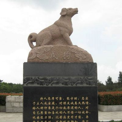 动物博鱼网页版制作与动物博鱼网页版搭配的寓意