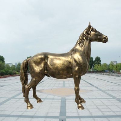 我国对于马有着深厚的感情