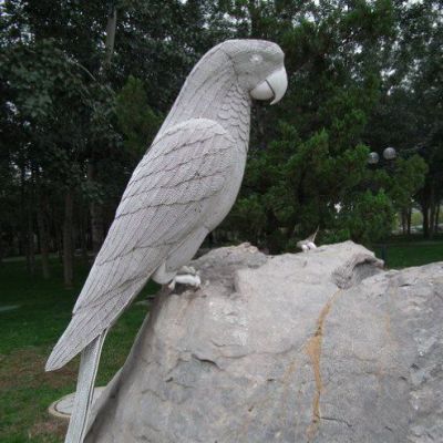 影响公园博鱼网页版鹦鹉报价的因素有哪些?
