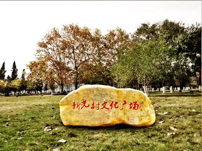 文化广场摆放黄蜡石景观博鱼网页版