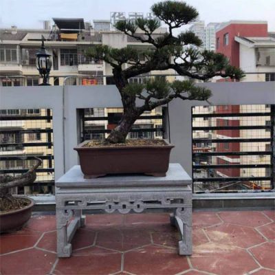 花岗岩雕刻镂空中式阳台盆景绿植花架博鱼网页版摆件