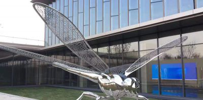 大学花园抽象镜面不锈钢蜻蜓博鱼网页版