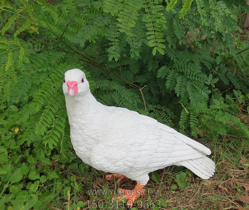 草丛边创意玻璃钢鸽子博鱼网页版