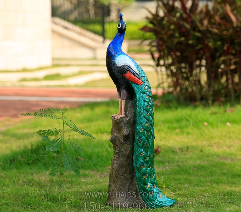 草坪上抬头的玻璃钢彩绘孔雀博鱼网页版