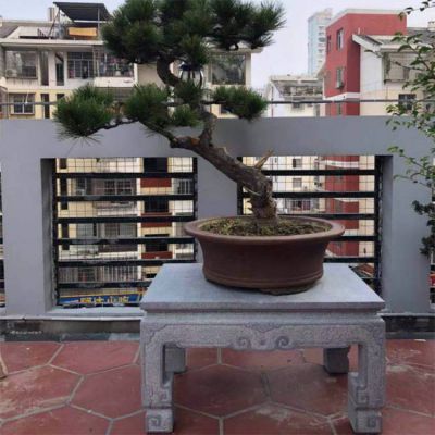 庭院阳台摆放砂岩雕刻中式盆景花架博鱼网页版