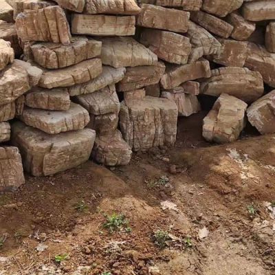 龟纹石摆件户外公园石材