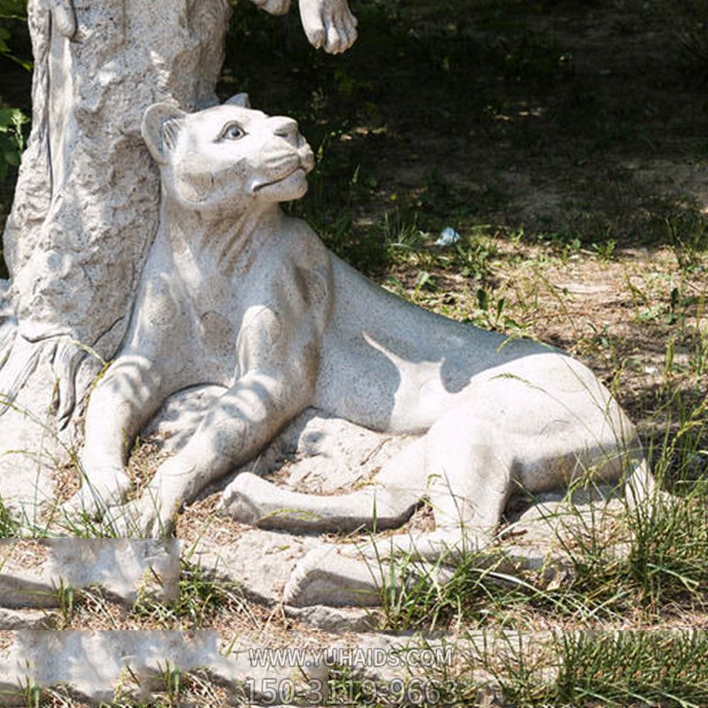 公园草坪石头创意休息中的金钱豹博鱼网页版