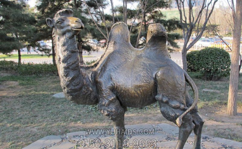 草地上摆放的回头大玻璃钢创意骆驼博鱼网页版