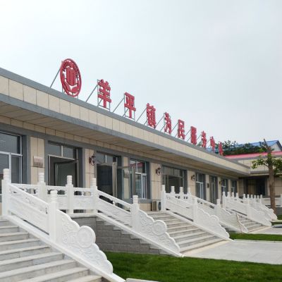 事业单位楼梯扶手汉白玉栏杆石雕