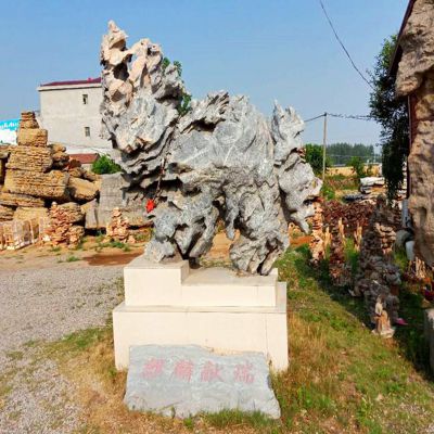绿地河滩假山石头自然石抽象动物公园摆件
