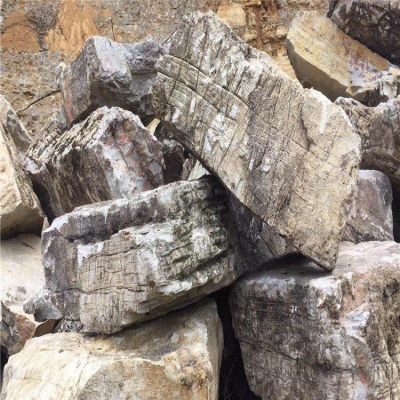 公园景区大型龟纹石石雕园林假山摆件
