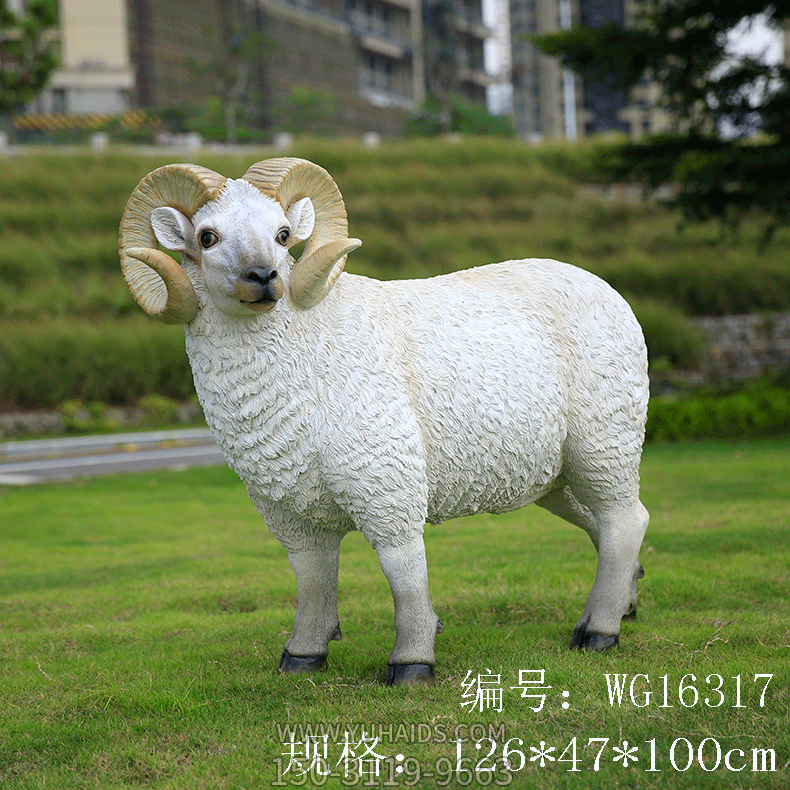 草地上一只歪头的玻璃仿真绵羊博鱼网页版
