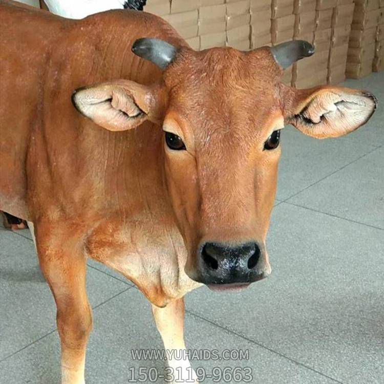 公园草坪摆放玻璃钢仿真动物牛博鱼网页版