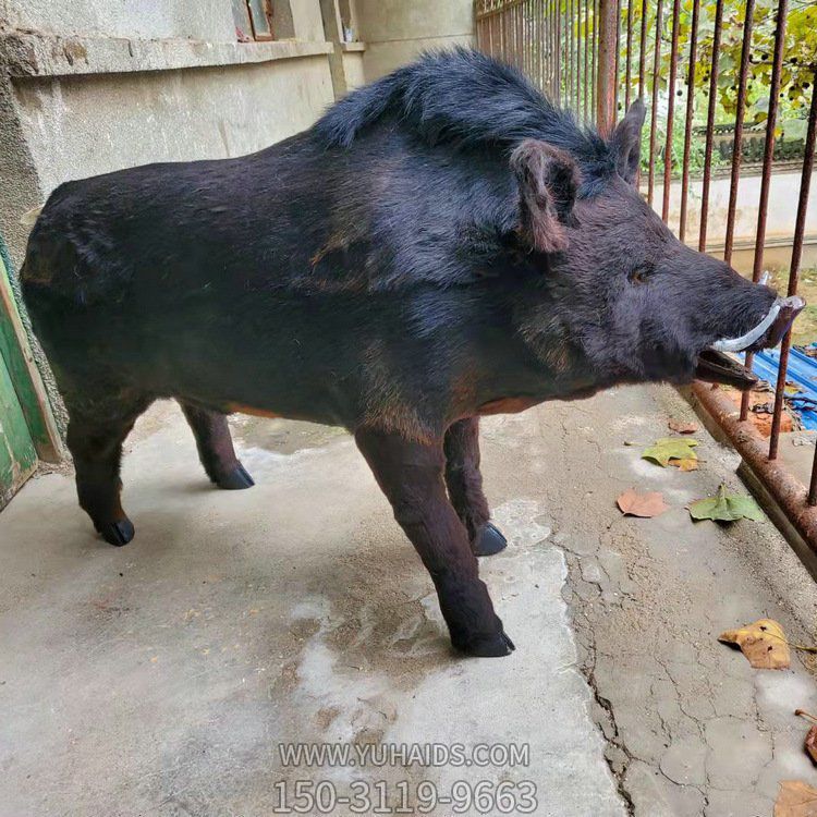 玻璃钢皮毛造型仿真野猪景点展区摆件博鱼网页版