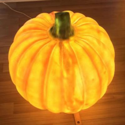 创意蔬菜发光照明南瓜博鱼网页版