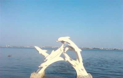 海边摆放多个不锈钢海豚博鱼网页版