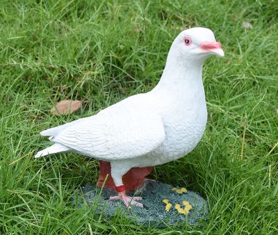 玻璃钢休息中的仿真鸽子博鱼网页版