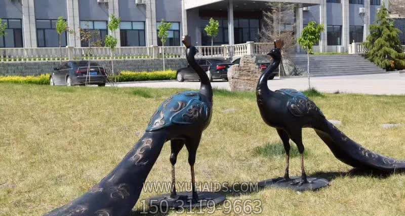 公园草坪摆放的不锈钢喷漆孔雀博鱼网页版