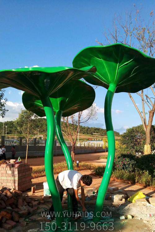 户外公园大型植物景观荷叶博鱼网页版