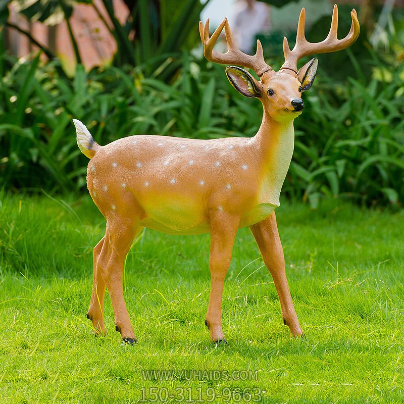 一只在草坪上行走的梅花鹿博鱼网页版