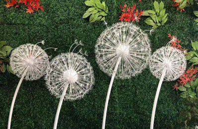 影视基地摆放不锈钢室内装饰蒲公英博鱼网页版