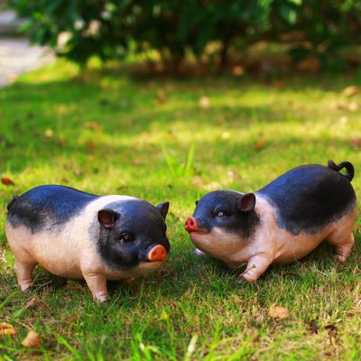 草坪两只仿真玻璃钢猪博鱼网页版