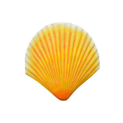 海洋公园玻璃钢仿真贝壳博鱼网页版