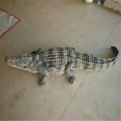 草地上摆放的行走的仿真鳄鱼博鱼网页版