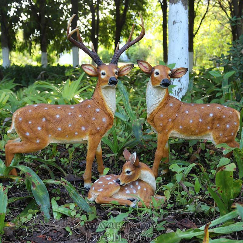 公园草丛中一家三口梅花鹿博鱼网页版