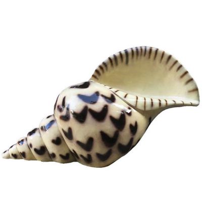 海洋馆摆放玻璃仿真海螺小品博鱼网页版