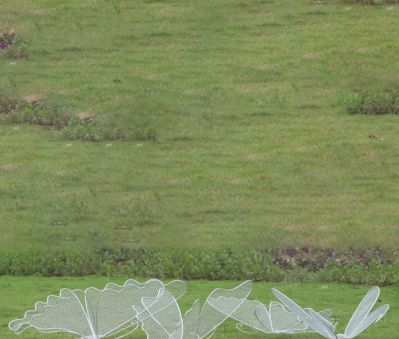 不锈钢网格池塘蝴蝶博鱼网页版