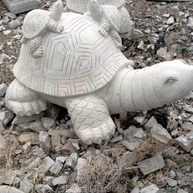 石雕乌龟，大乌龟驮着小乌龟博鱼网页版