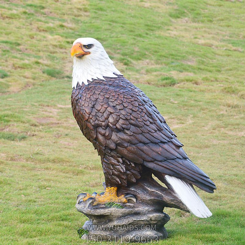 草坪一只孤独的树脂老鹰博鱼网页版