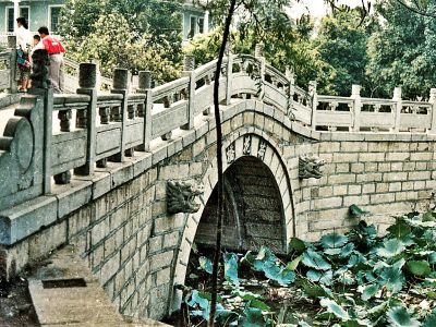 荷花池塘青砖石桥大理石防护栏杆