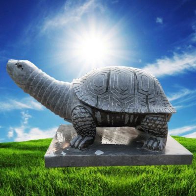 寺庙供奉灵龟 大理石石雕龟博鱼网页版