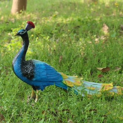 草坪上头戴红冠的玻璃钢彩绘孔雀博鱼网页版